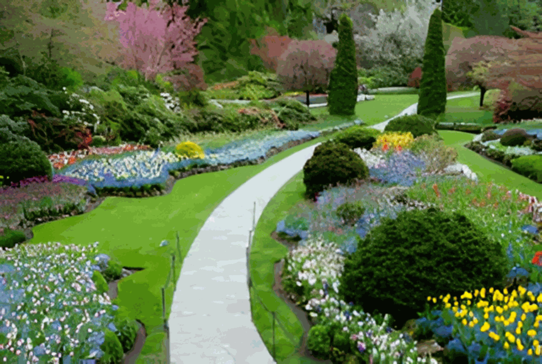 Suraj Park View